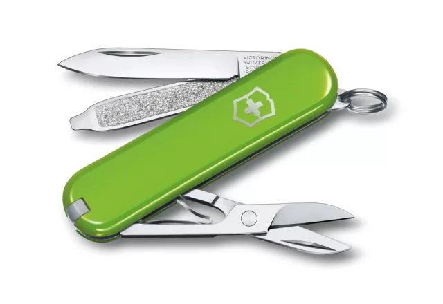 Classic SD | Colors | Smashed Avocado | Bliszter