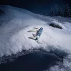 Victorinox | Synergy | Winter Magic Limited Edition 2026