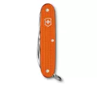  Tiger Orange