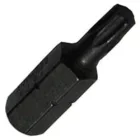  Torx 10