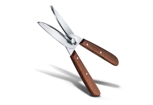 Rózsa És Szüretelő Olló