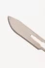 Talpkés-1