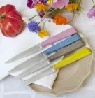 Opinel | Bon Appetit No.125 | Étkezőkés készlet | 4 db | Campagne