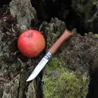Opinel | No.06 Luxe | Diófa