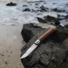 Opinel | No.06 Luxe | Diófa