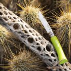 No.07 Bushwhacker | INOX | Gyertyán | Ánizs