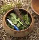 No.07 | My First Opinel | Gyertyánfa | Kék | Bliszteres
