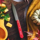 No.112 Aprítókés | INOX | 10 cm | Piros