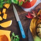 No.112 Aprítókés | INOX | 10 cm | Kék