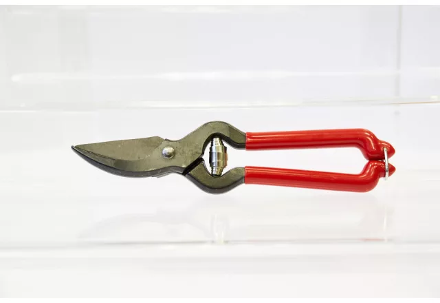  17,5 cm