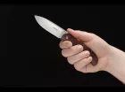 Exskelibur I Cocobolo