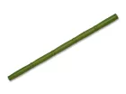 Green Bamboo