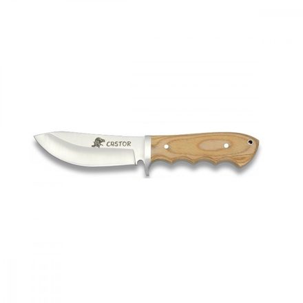  Olajfa Markolat